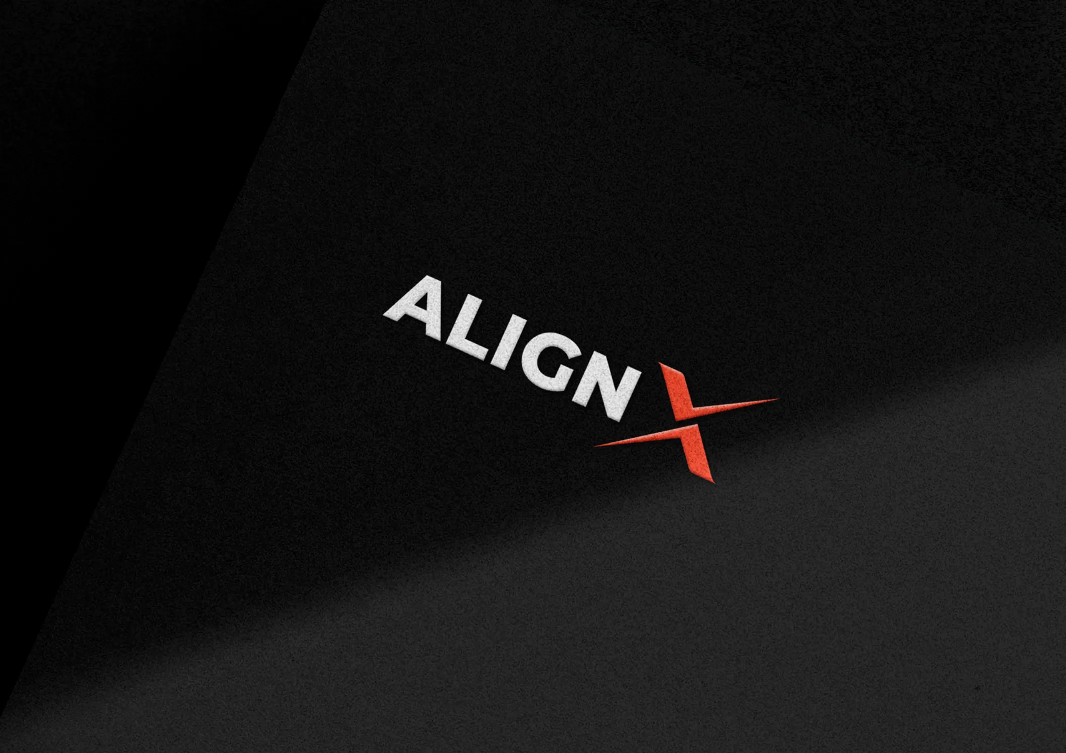 AlignX brand identity 2